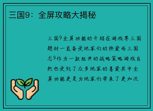 三国9：全屏攻略大揭秘